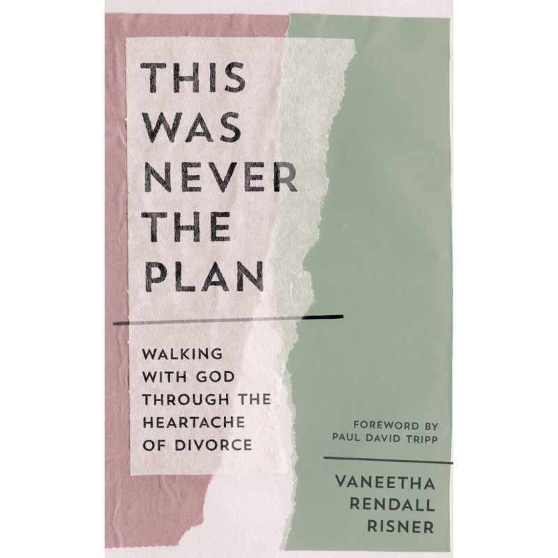 This Was Never The Plan - Walking With God Through The Heartache Of Divorce